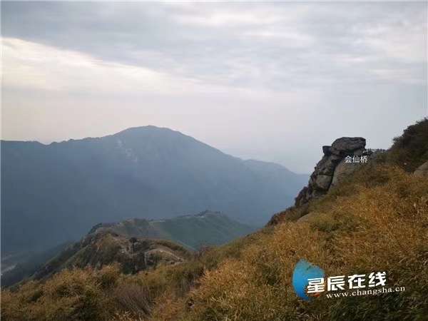 60176cff83367.jpg 60176cff83367.jpg