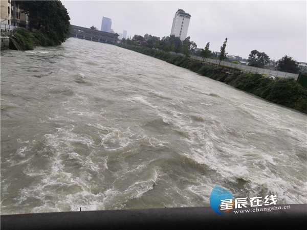 诗话桥丨李秋颐:桥下有剑斩蛟龙 诗话桥丨李秋颐:桥下有剑斩蛟龙